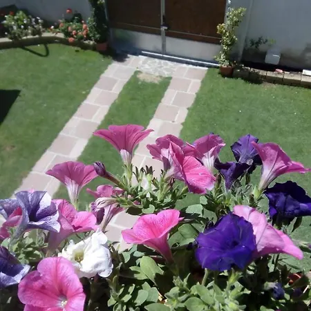 Apartamento Casa Rosa Dei Venti *