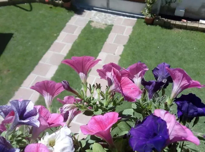 Апартаменты Casa Rosa Dei Venti *